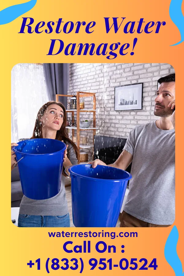 water restoration Platinum Water Removal LLC Sturgis