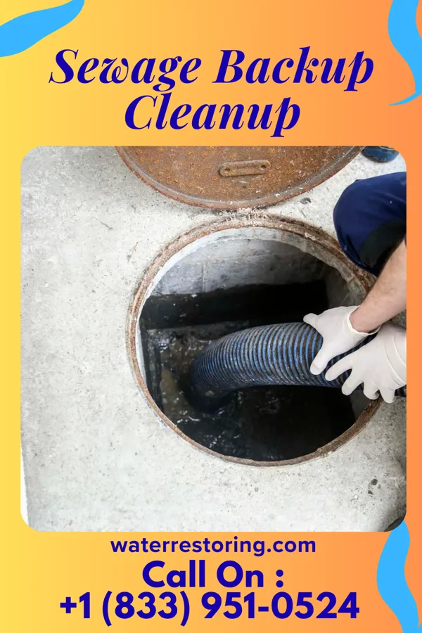 Sewage Backup Cleanup in Sturgis, KY