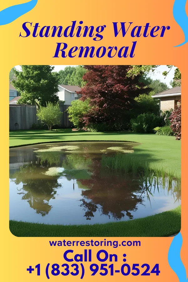 Standing Water Removal in Sturgis, KY